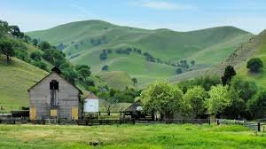 Black Diamond Mines Regional Preserve